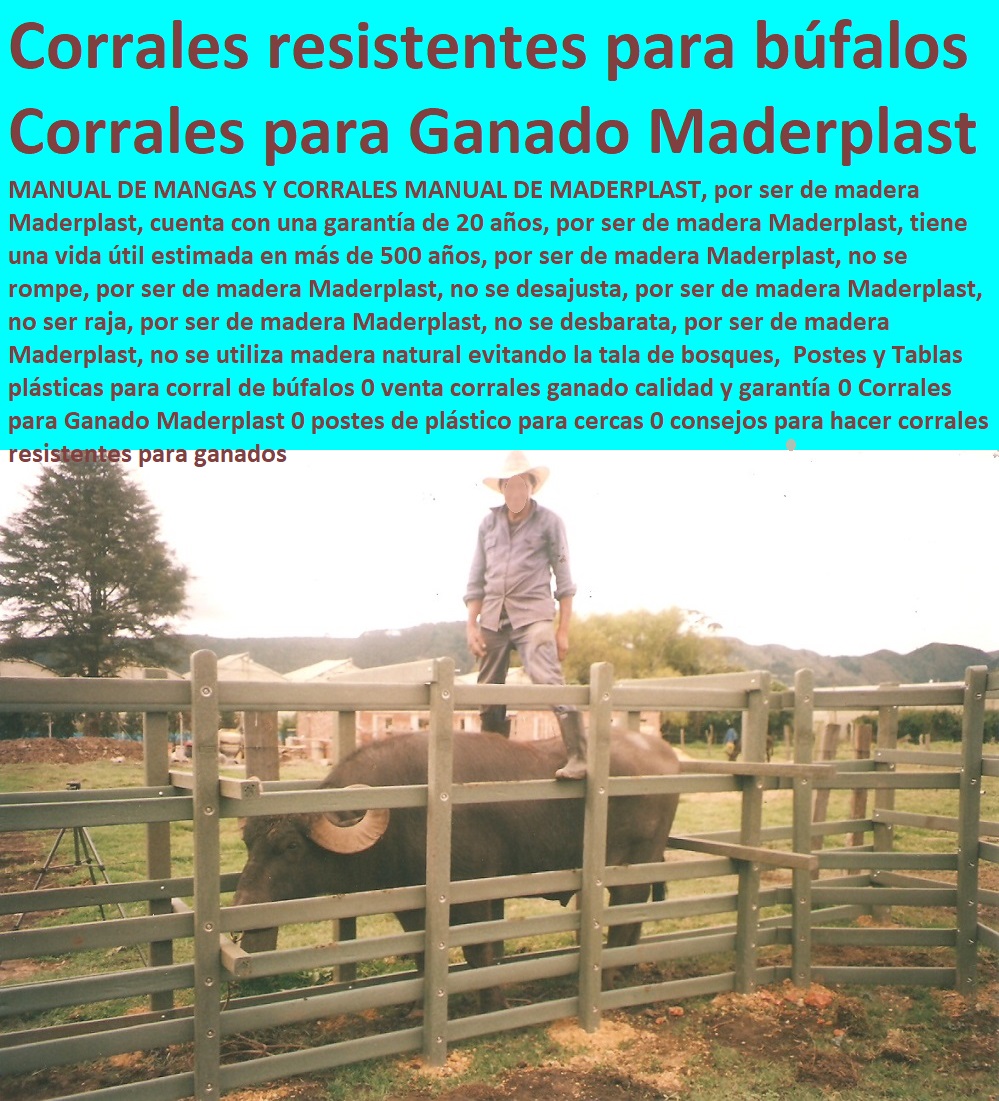 Postes y Tablas plásticas para corral de búfalos 0 venta corrales ganado calidad y garantía 0 Corrales para Ganado Maderplast 0 postes de plástico para cercas 0 consejos para hacer corrales resistentes para ganados Postes y Tablas plásticas para corral de búfalos 0 venta corrales ganado calidad y garantía 0 Corrales para Ganado Maderplast 0 postes de plástico para cercas 0 consejos para hacer corrales resistentes para ganados Postes y Tablas plásticas para corral de búfalos 0 venta corrales ganado calidad y garantía 0 Corrales para Ganado Maderplast 0 postes de plástico para cercas 0 consejos para hacer corrales resistentes para ganados